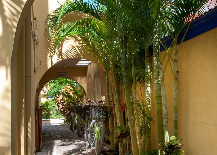 Abbey Del Sol - Tropical Escape Near In * Puerto Morelos