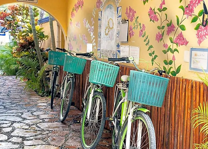 Abbey Del Sol - Tropical Escape Near In *
