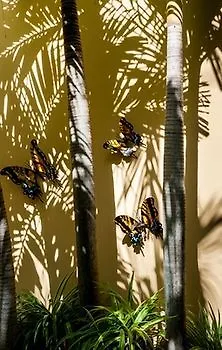 Abbey Del Sol - Tropical Escape Near In Puerto Morelos